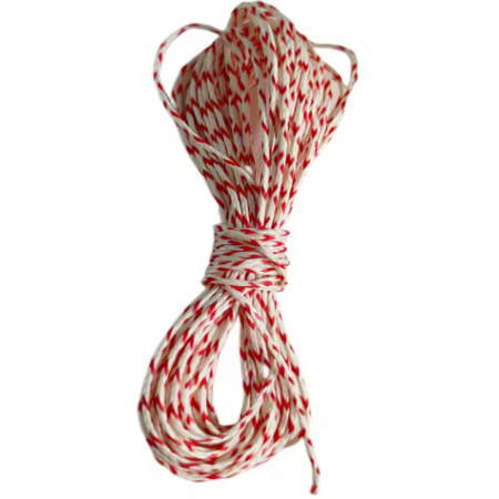 Assist PE Line 200lb c/10m